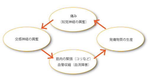痛みのメカニズム